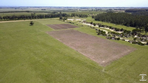 Campo En Venta