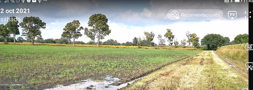 Remate De Fabuloso Lote Para Agricultura, Invernaderos, Rancho O Casas De Descanso. Luz, Agua Y Aire Puro A Tu Disposición.