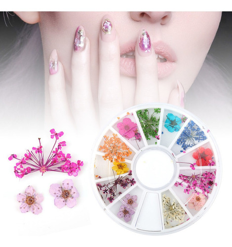 Flores Secas Flores De Uñas Románticas Para Decorar Tu