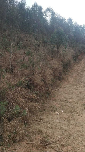 Imagem 12 de 14 de T20- Areá Verde Em Igaratá Lotes Apenas 35mil A Vista