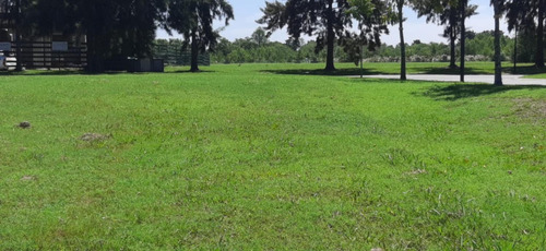 Imagen 4 de 30 de Lote-venta-el Cazal-escobar