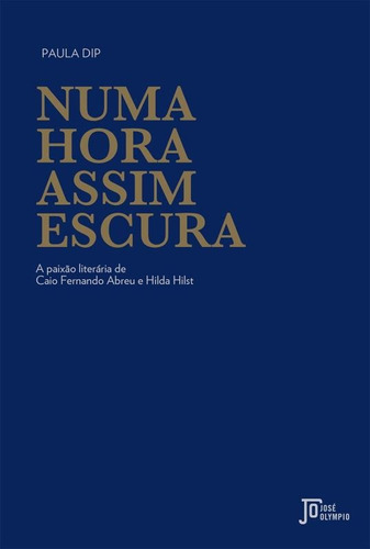 Numa hora assim escura, de Dip, Paula. Editora José Olympio Ltda., capa mole em português, 2016