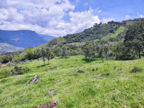 Lote En Copacabana Vereda El Zarzal