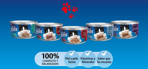 Pack Felix® Adultos Paté De Salmón 156 Gr