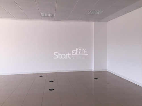 Imagem 4 de 7 de Sala Á Venda E Para Aluguel Em Swiss Park - Sa005847