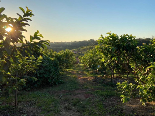 Sitio A Venda Macuco, Valinhos, Leao Imoveis - Si0008