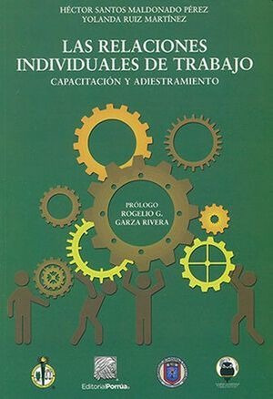 Libro Las Relaciones Individuales De Trabajo Capacitac Nuevo