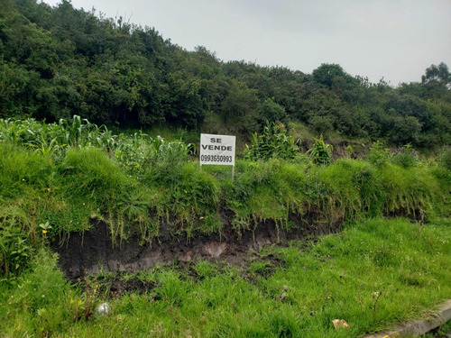 Lotes De 200m2. En Urbanización Tréboles Del Sur.