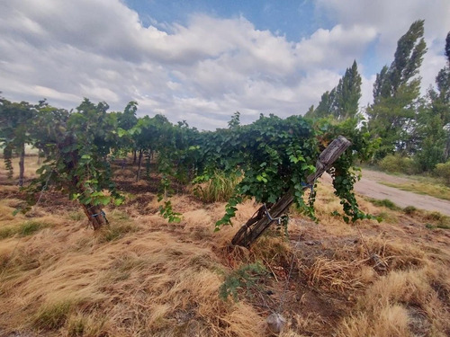 Finca De 19,7 Has, En Tres Esquinas, Media Agua.
