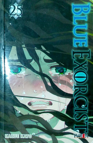 Blue Exorcist 25 Kazue Kato Ivrea Usado* 