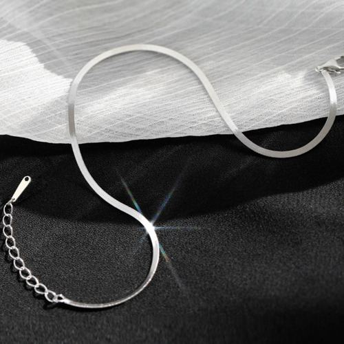 Imagen 5 de 10 de Tobillera Panza Víbora Plana Pulsera Pie Mujer Acero Plata