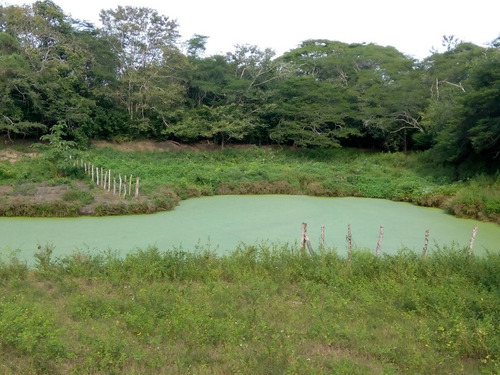 Imagen 24 de 27 de Se Vende Finca En Caicara De Maturin Sec Bajo Gde Ve02-1143cai-mtru