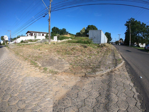 Imagem 3 de 3 de Terreno - Sao Luiz - Ref: 28377 - V-28375