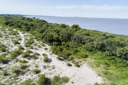 Imagen 9 de 16 de Campos Venta Carmelo Sobre Río De La Plata