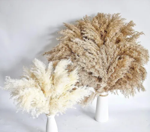60 Pcs Decor Boho, Hierbas Secas Naturales, Modelo 17 Pulgad