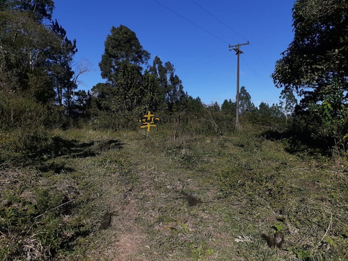 Imagem 19 de 30 de Fazenda A Venda No Bairro Colônia Murici Em São José Dos - 5836-1
