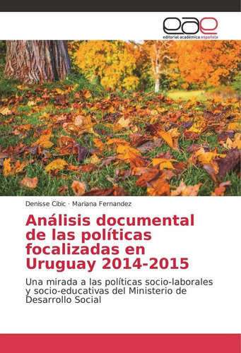 Libro: Análisis Documental Políticas Focalizadas U