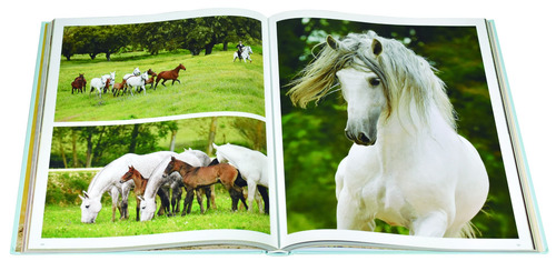 Folio: Iberian Horses Andalusians And Lusitanos, de Boiselle, Gabrielle. Folio: The Arabian Horse Editorial Konnemann, tapa dura en español/inglés/francés/alemán/italiano/neerlandés, 2017