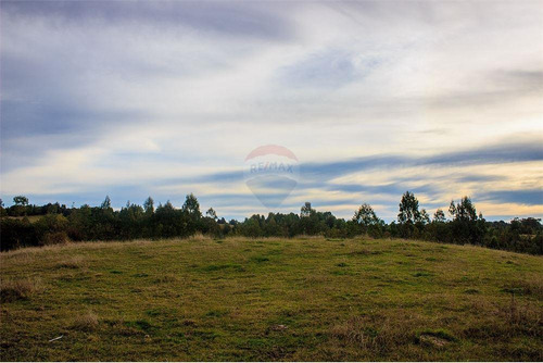 Imagen 12 de 30 de Parcela De Agrado En Chiloé