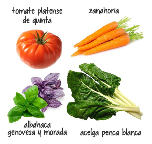 Super Combo Semillas! Huerta Primavera - Verano!