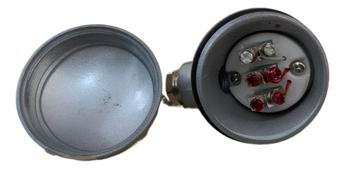 Sensor Termopar Rtd Pt100 3 Hilos 20cms Cabeza Marina 1/4npt