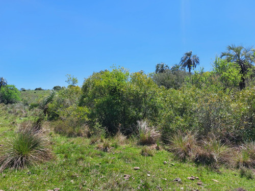 88hás De Campo Serrano Sierras Del Carapé