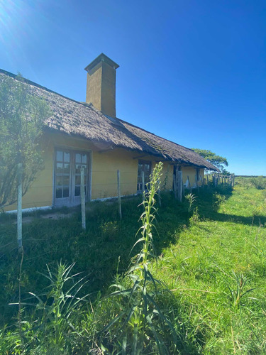 Venta De 9 Hectáreas En Empalme Olmos.!