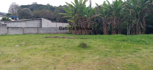 Imagem 5 de 5 de Chacara - 1743 - 69662672
