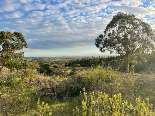 Venta De Parcelas, 5.000 Mts2, Con Agua Y Luz, En Algarrobo