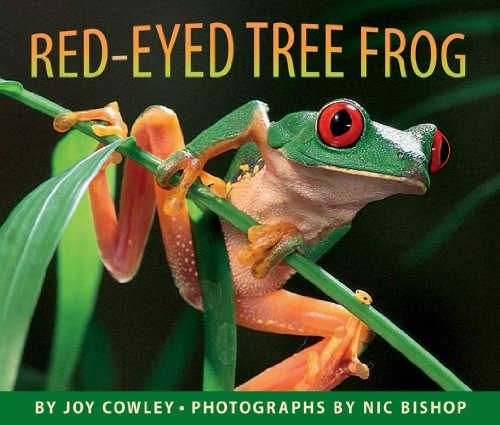 Libro Red-eyed Tree Frog, The