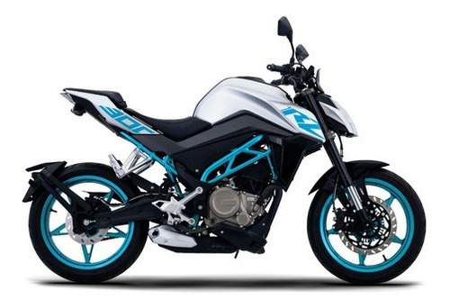 Imagen 23 de 25 de Zanella Cf Rz 300 Motozuni