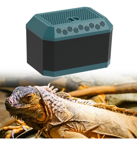 Caja De Reptiles De Reptiles Hábitat De Hábitat Animal