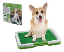 Comprar Baño Para Mascotas Perros Baño Educador Ecologico Pupy Potty