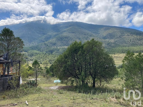Venta Terreno 0 Ambiente Los Lirios