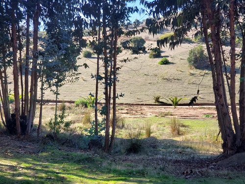 Gran Parcela Con Casa De Cuidador