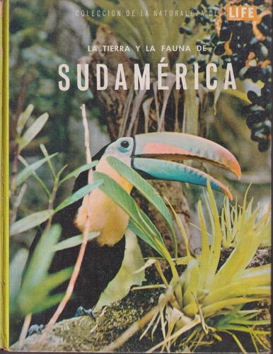 La Tierra Y La Fauna De Sudamerica Life 