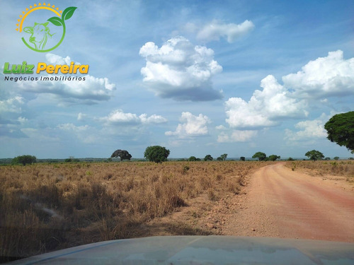 Imagem 12 de 12 de Fazenda À Venda Em Abreulândia - Pa - 1.427,8 Hectare (dupla Aptidão) - 2038