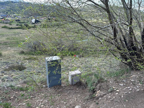 Lote Noregon