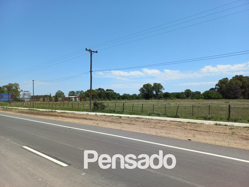 Imagen 9 de 18 de En Venta 1 Hectarea Con Servicios