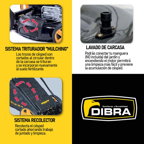 Imagen 5 de 7 de Corta Césped Nafta Dibra 4.5hp Chasis Acero Motor B&s 9 Pos