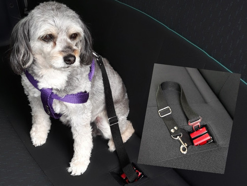 Imagen 2 de 2 de Cinturón De Seguridad Universal Regulable Mascotas