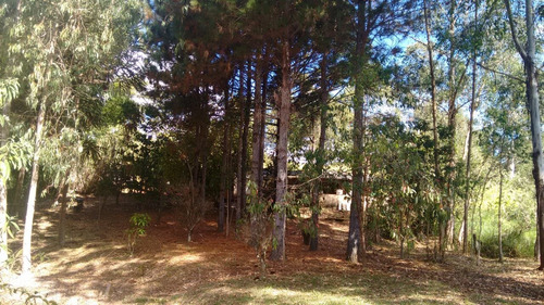 Sitio Com 50.000 Metros Quadrados Em Caxambu Sul De Minas , 09 Klm Da Cidade, Muita Água,bom Para Piscicultura, 03 Lagos Com Peixe. - 246