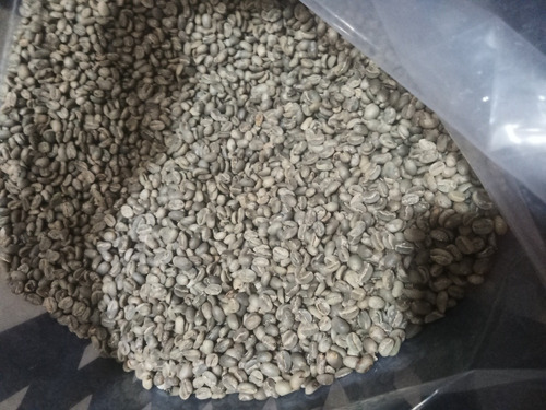 30kg Café Arabica Verde Premium (café Oro) De Veracruz