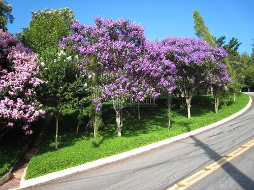 Imagem 4 de 20 de Casa Com 6 Suítes À Venda, 700m² Por R$ 4.500.000 - Alphaville 8 - Santana De Parnaíba/sp - Ca1277