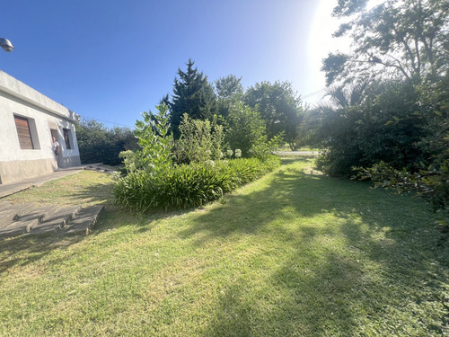 Venta Casa Sólida Con Amplio Terreno En Paso De La Arena, Padrón Único, 2 Dormitorios, Garage Varios Vehículos, Jardín, Fondo, Gran Potencial