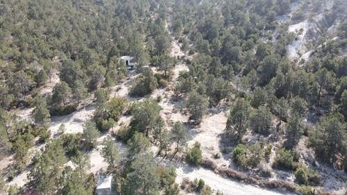 Imagen 6 de 6 de Terreno Campestre