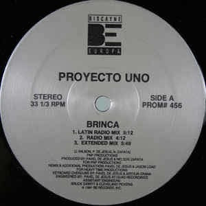 Proyecto Uno - Brinca