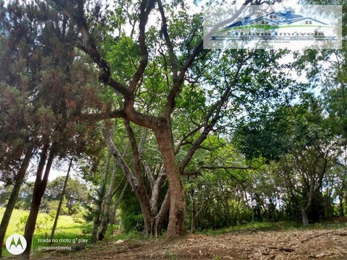Imagem 6 de 10 de Chácaras À Venda Em Mairiporã/sp - Compre O Seu Chácaras Aqui! - 1478824