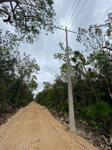 Imagen 8 de 13 de Venta Terreno En Tulum Cerca Del Centro
