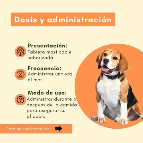 Pastilla Contra Pulgas Y Garrapatas En Perros 5.5 A 11kg